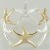 Silver/Gold Stretch Starfish Bracelet | 42-JB4533-TT.jpg