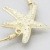 Flexi Wire Starfish Bangle Bracelet | STARFISH-WIRED-BANGLE-BRACELETS-PG-5471BTM-81-1.jpg