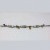Brighton REMEMBER YOUR HEART Two Tone Crystal Link Bracelet | brighton6.jpg